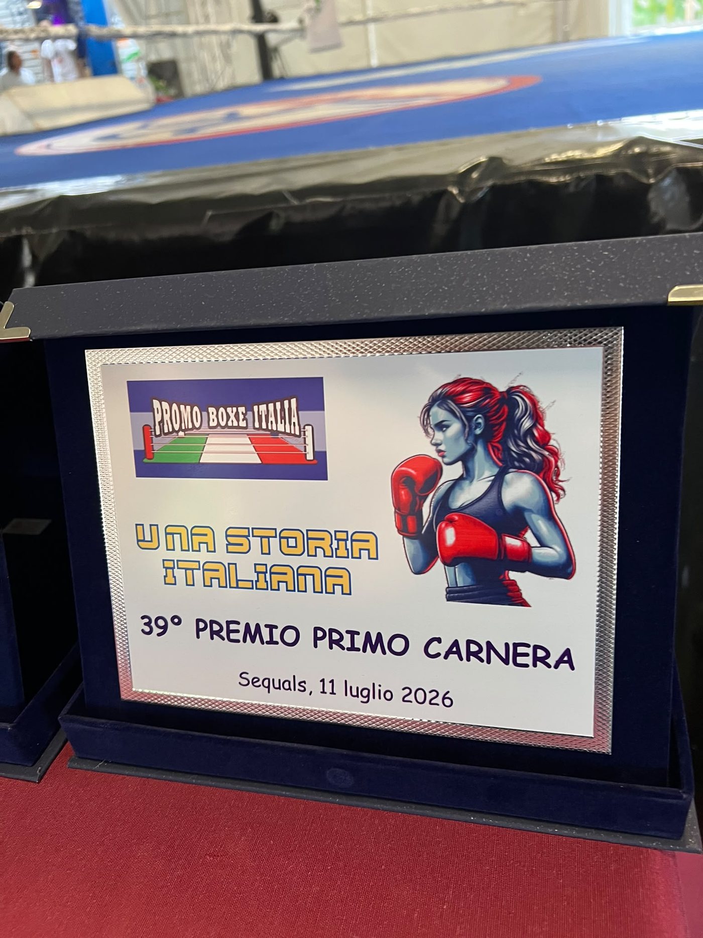 Premio Una storia italiana